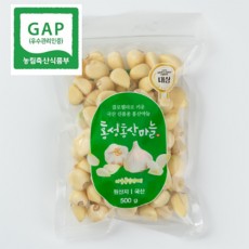 국내산 홍성  홍산마늘 500g